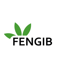 Fengib