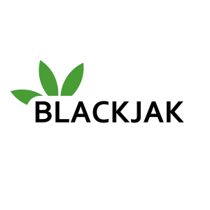 BlackJak