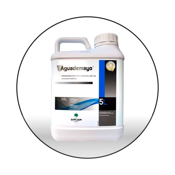 Aguademayo