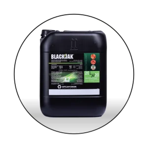 BLACKJAK