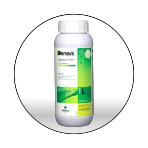 BISMARK