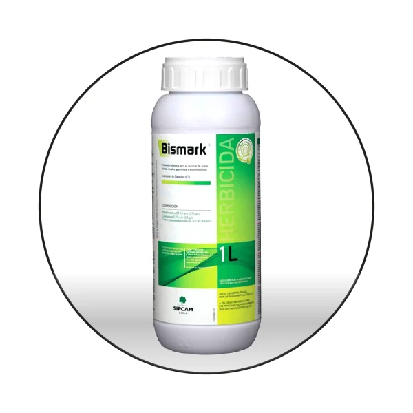 BISMARK