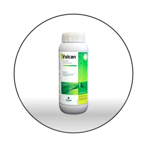 Volcan